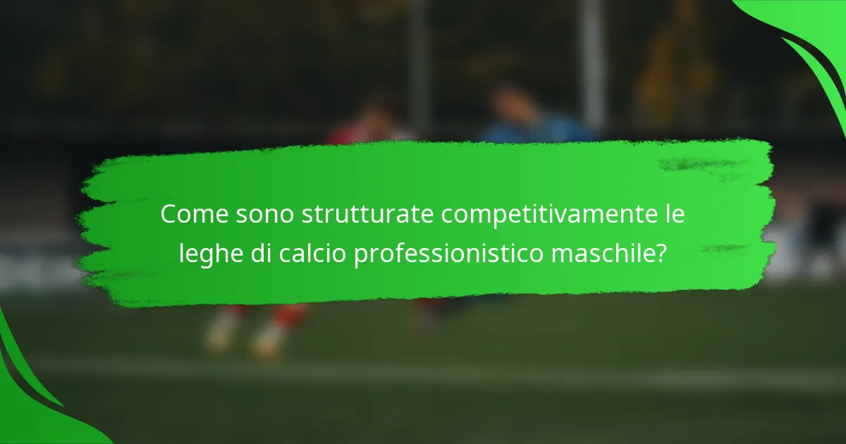 Come sono strutturate competitivamente le leghe di calcio professionistico maschile?