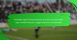 Principali Leghe Professionistiche di Calcio: Struttura della lega, Modelli finanziari, Raggio d’azione internazionale