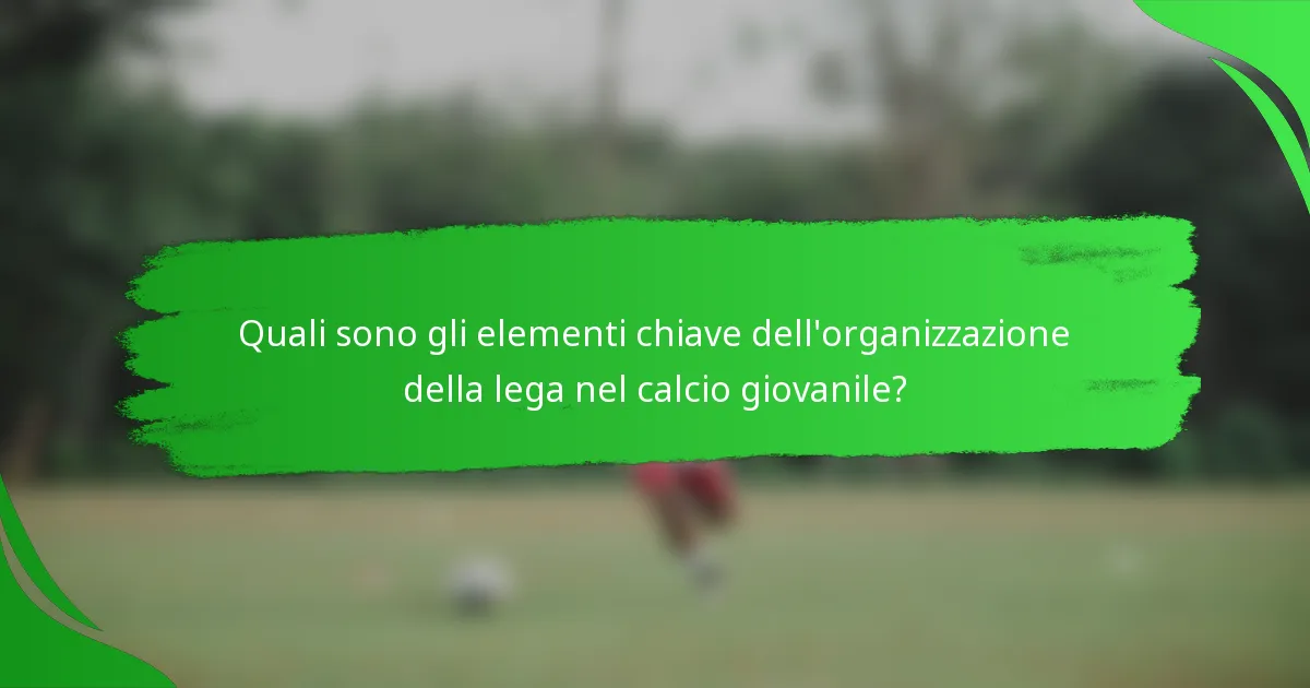 Quali sono gli elementi chiave dell'organizzazione della lega nel calcio giovanile?